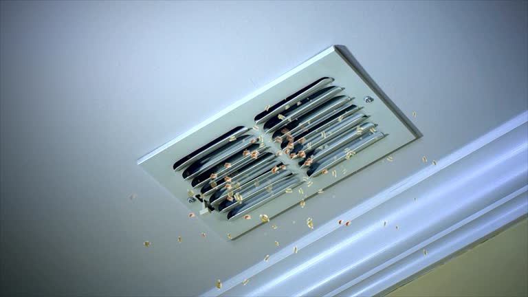 Best Affordable HVAC Duct Cleaning  in Alta, IA