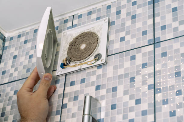Best Air Duct Mold Removal  in Alta, IA
