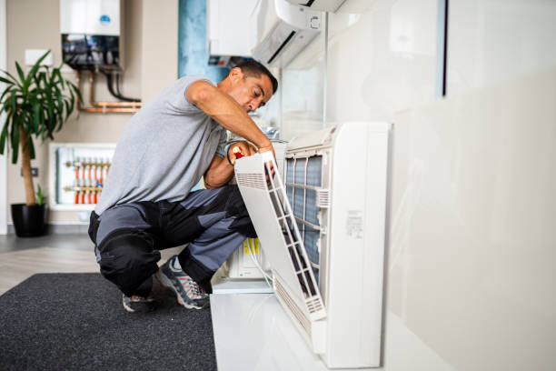 Best Local Air Duct Cleaning Services  in Alta, IA