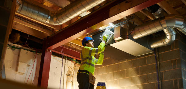 Best Air Duct Sanitizing Services  in Alta, IA