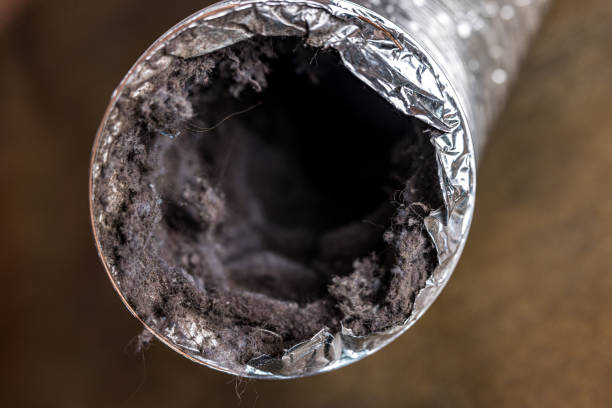Best Ventilation Cleaning Services  in Alta, IA