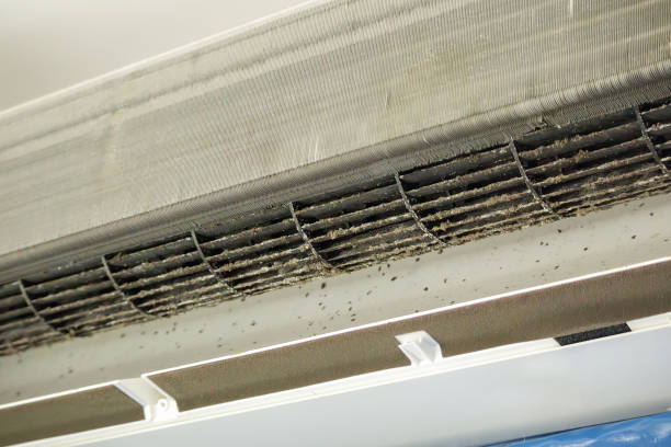 Best Residential Air Duct Cleaning  in Alta, IA