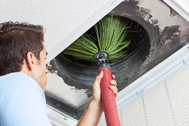 Air Duct Mold Removal in IA