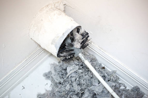 Best Air Vent Cleaning Services  in Alta, IA