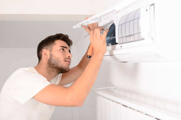 Best Home Air Vent Cleaning  in Alta, IA