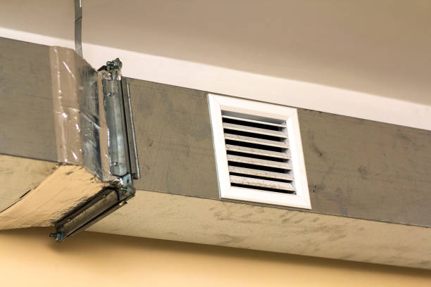 Best Air Duct Mold Removal  in Alta, IA